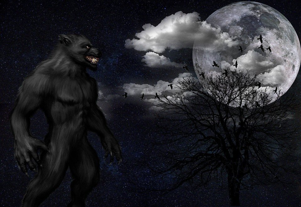 shun's article picture - werewolf
