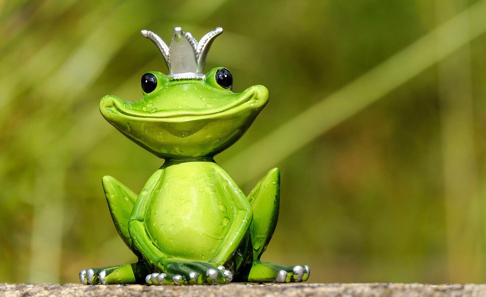 shun's article picture - character frog