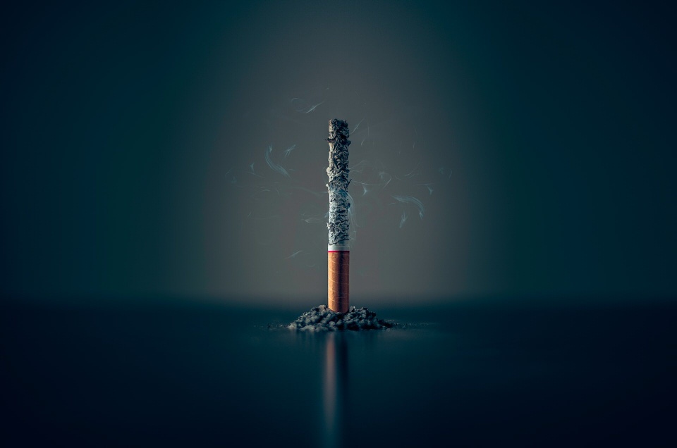 shun's article picture - cigarette ash